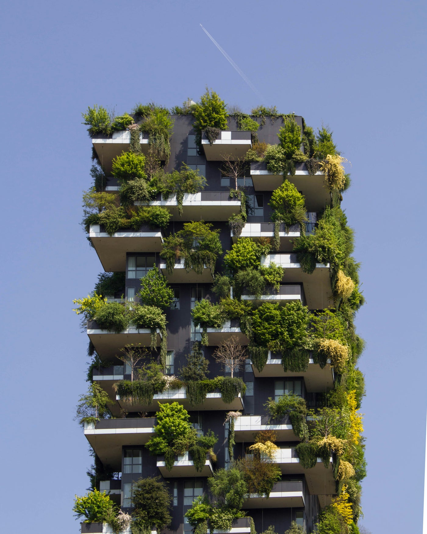 Vertical Forest - Green planted tower isolated against a clear sky. Museum-grade framed artwork by Veriando Studio.