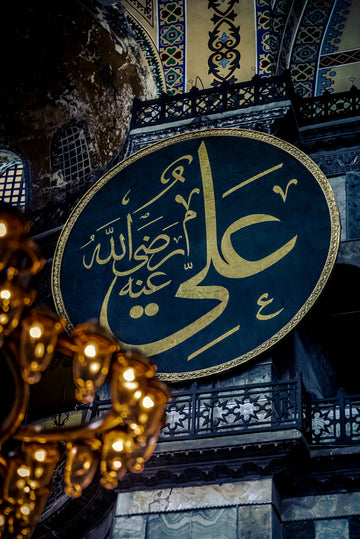 Blue Calligraphic Medallion Warm room