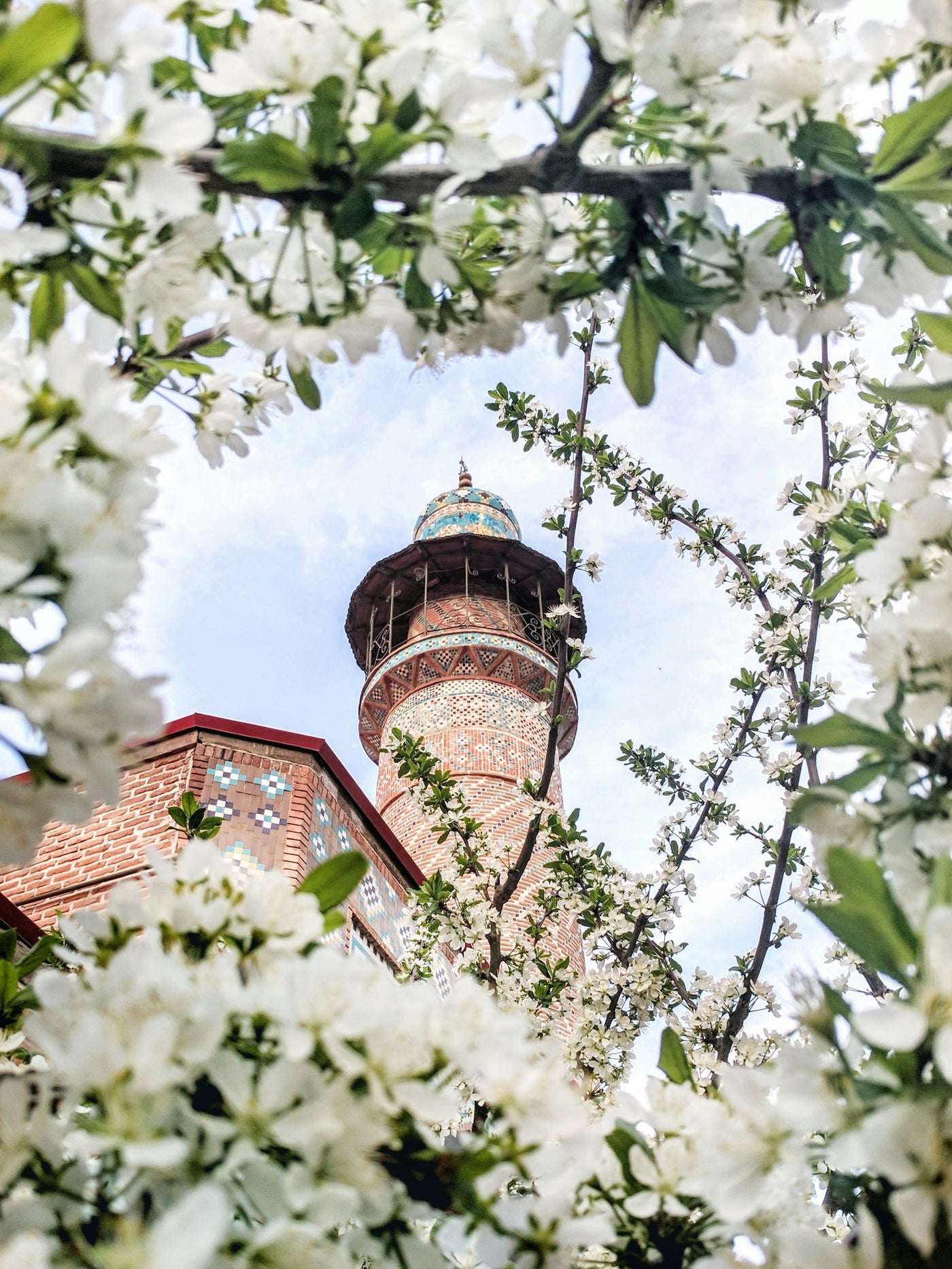 Minaret in Bloom - Minaret framed by white spring blossoms. Museum-grade framed artwork by Veriando Studio.