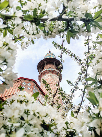 Minaret in Bloom Warm room