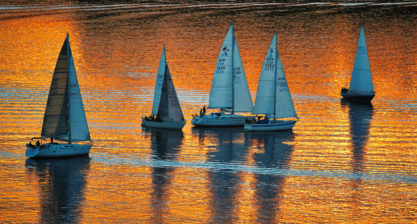 Sails on Golden Water - Sailboats gliding across orange-gold water. Museum-grade framed artwork by Veriando Studio.