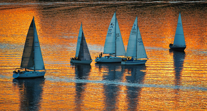 Sails on Golden Water - Sailboats gliding across orange-gold water. Museum-grade framed artwork by Veriando Studio.