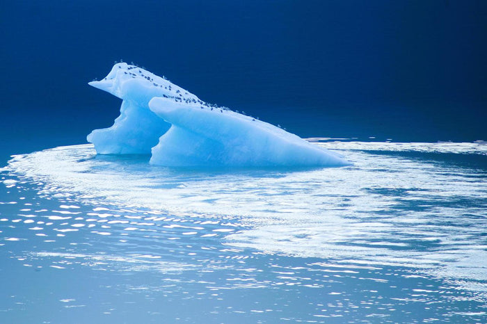 Blue Ice Fragment - Iceberg fragment in vivid blue water. Museum-grade framed artwork by Veriando Studio.