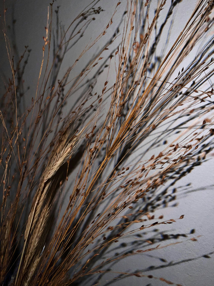 Dried Grass Reverie - Fine dry grasses against a muted background. Museum-grade framed artwork by Veriando Studio.